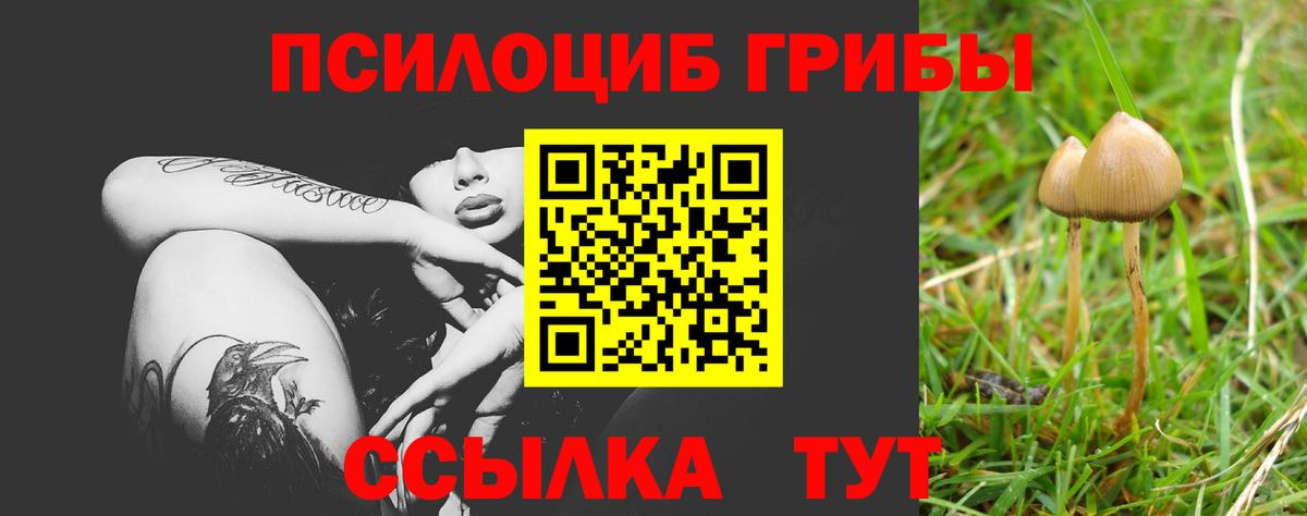 Магадан  Псилоцибиновые грибы Psilocybe  Галлюциногенные грибы мицелий  Вход с VPN 